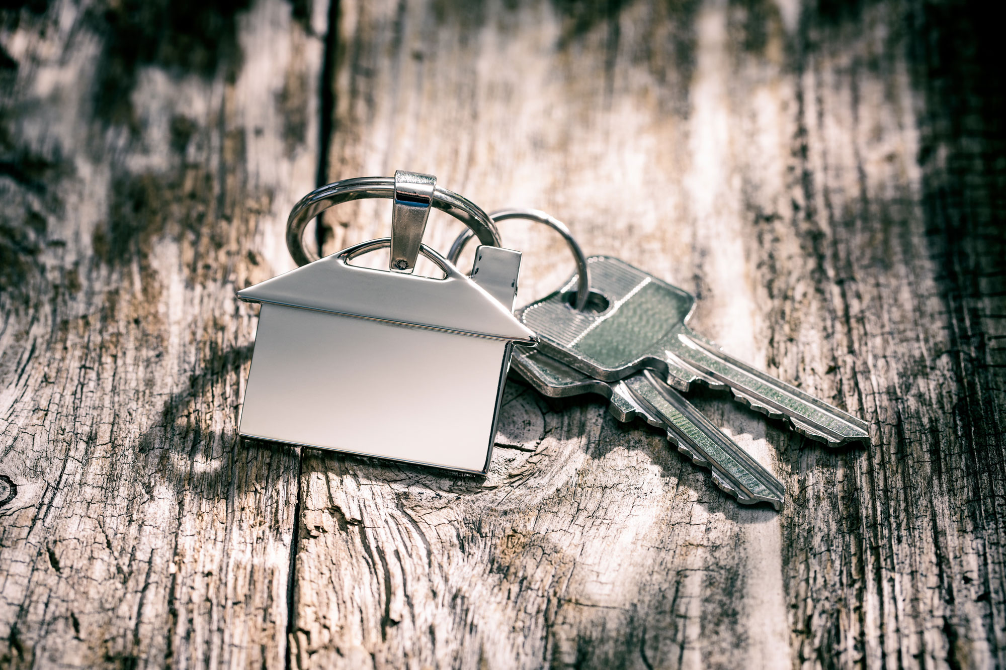 Professionals Home Key Chain